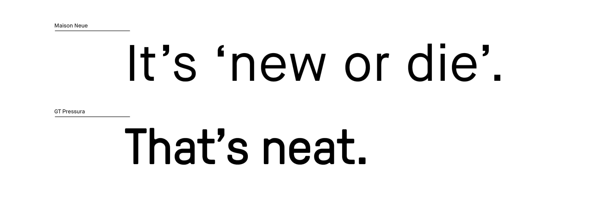 New Things Co typography system showing headline and body fonts