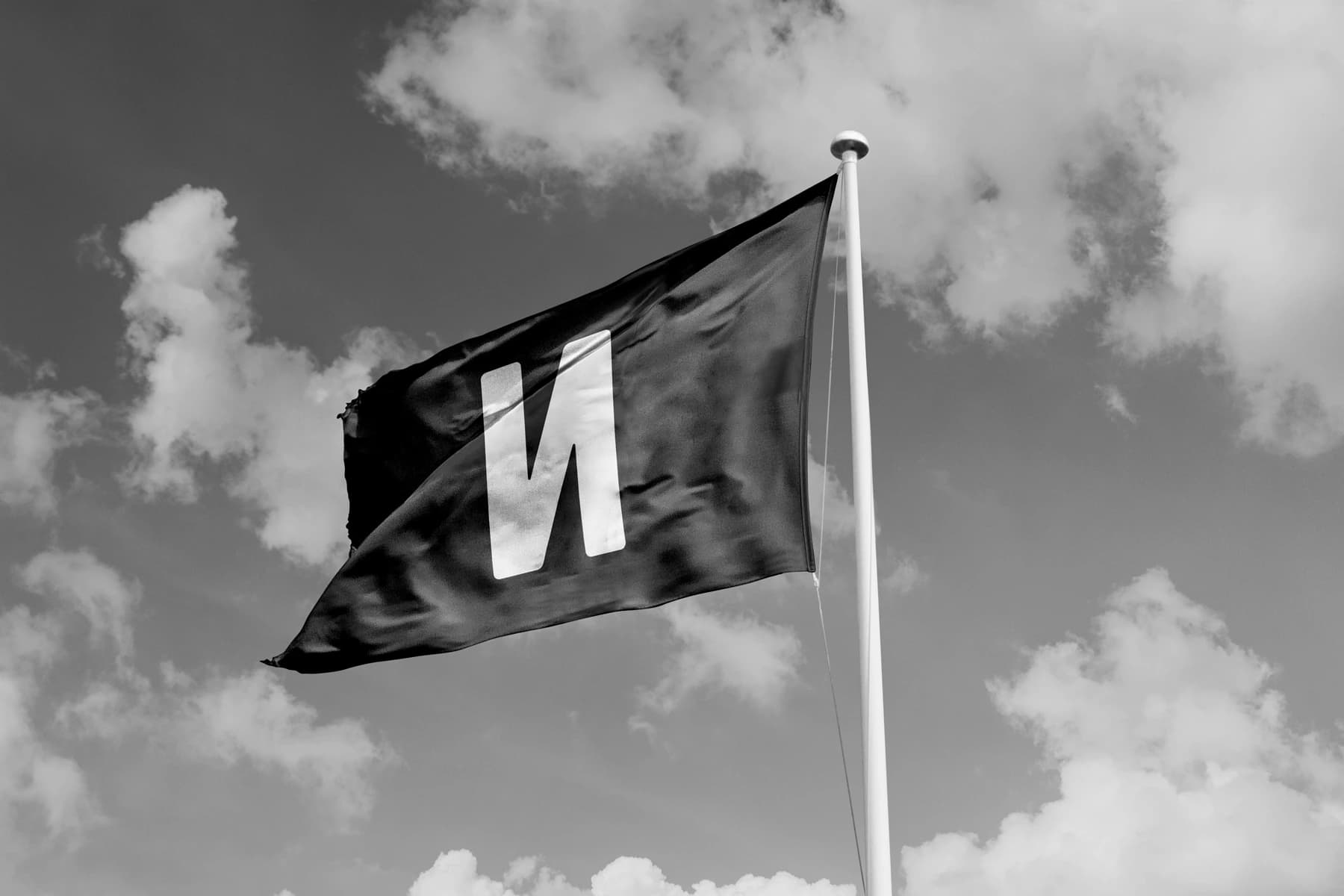 New Things Co office flag