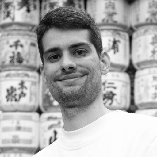 Hristo Meshinski, Lead Developer